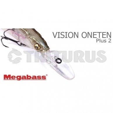 Vision ONETEN R Plus 2 1