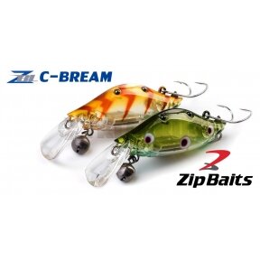 ZBL C-Bream