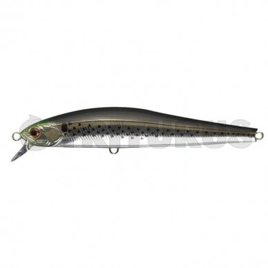 ZBL System Minnow 15HD-F/S 8