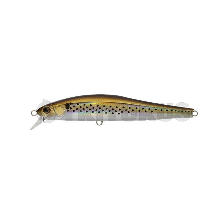 ZBL System Minnow 15HD-F/S