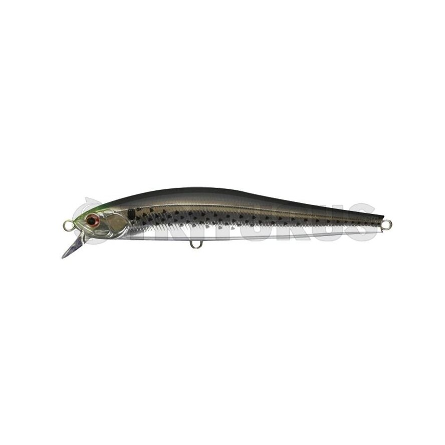 ZBL System Minnow 15HD-F/S