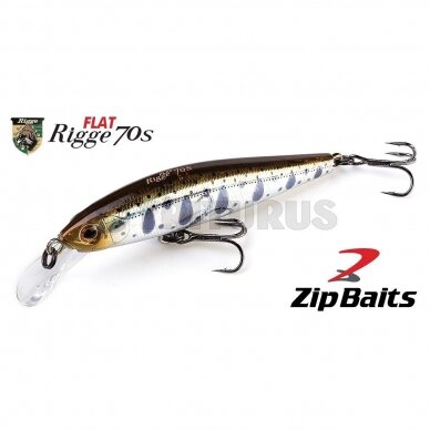 ZipBaits Rigge Flat 70S